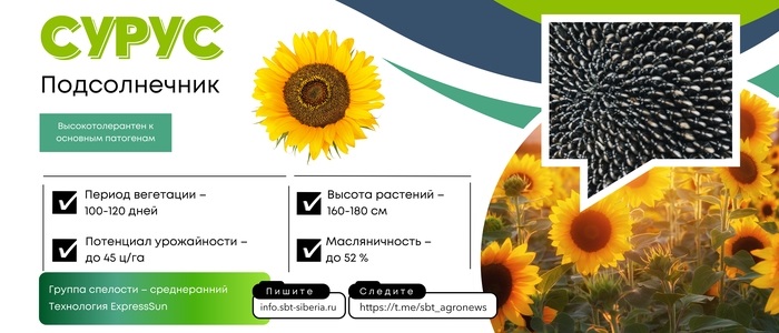 СУРУС